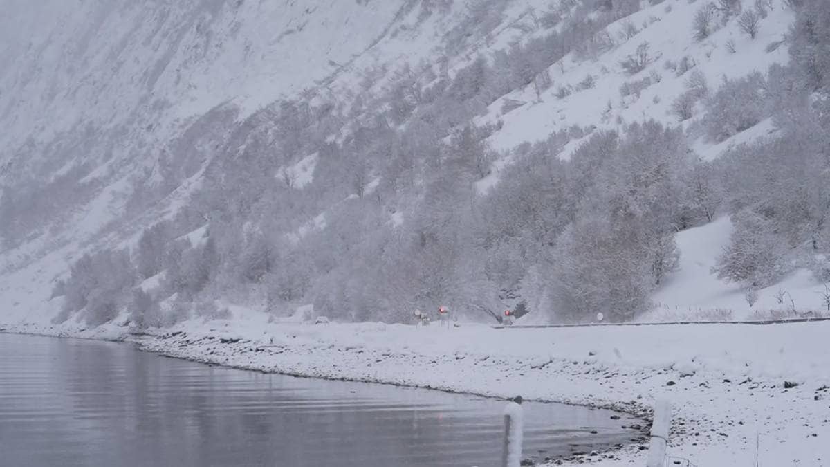 Har funnet død person i skredet i Lyngen