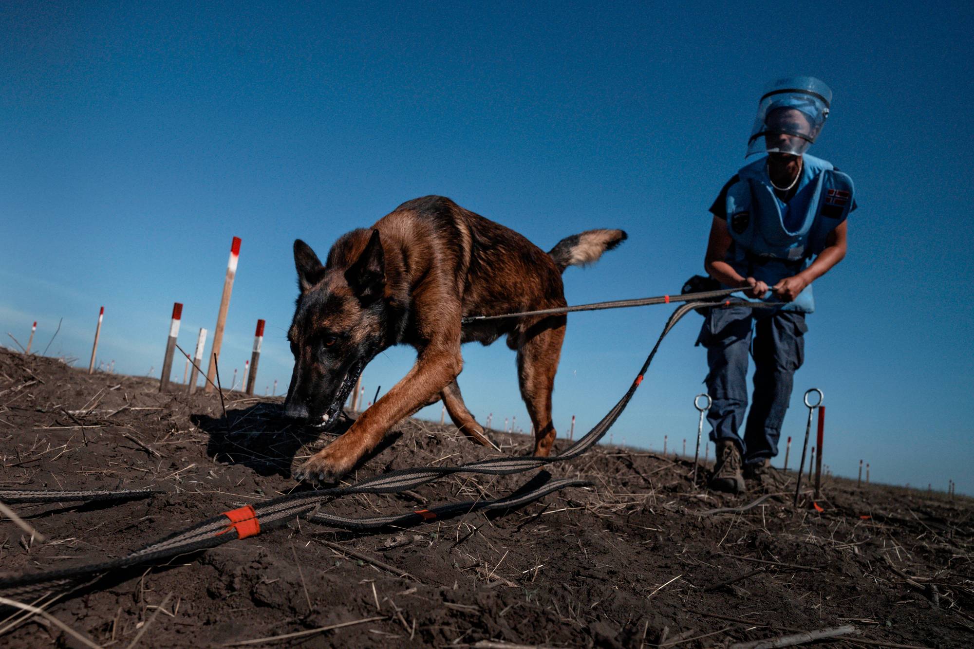 en politimann med hund