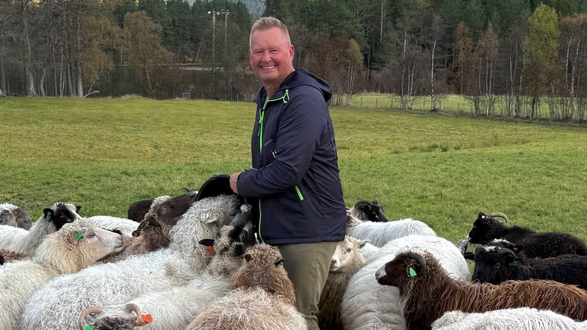 Reagerer på ny tiltaksplan for villrein