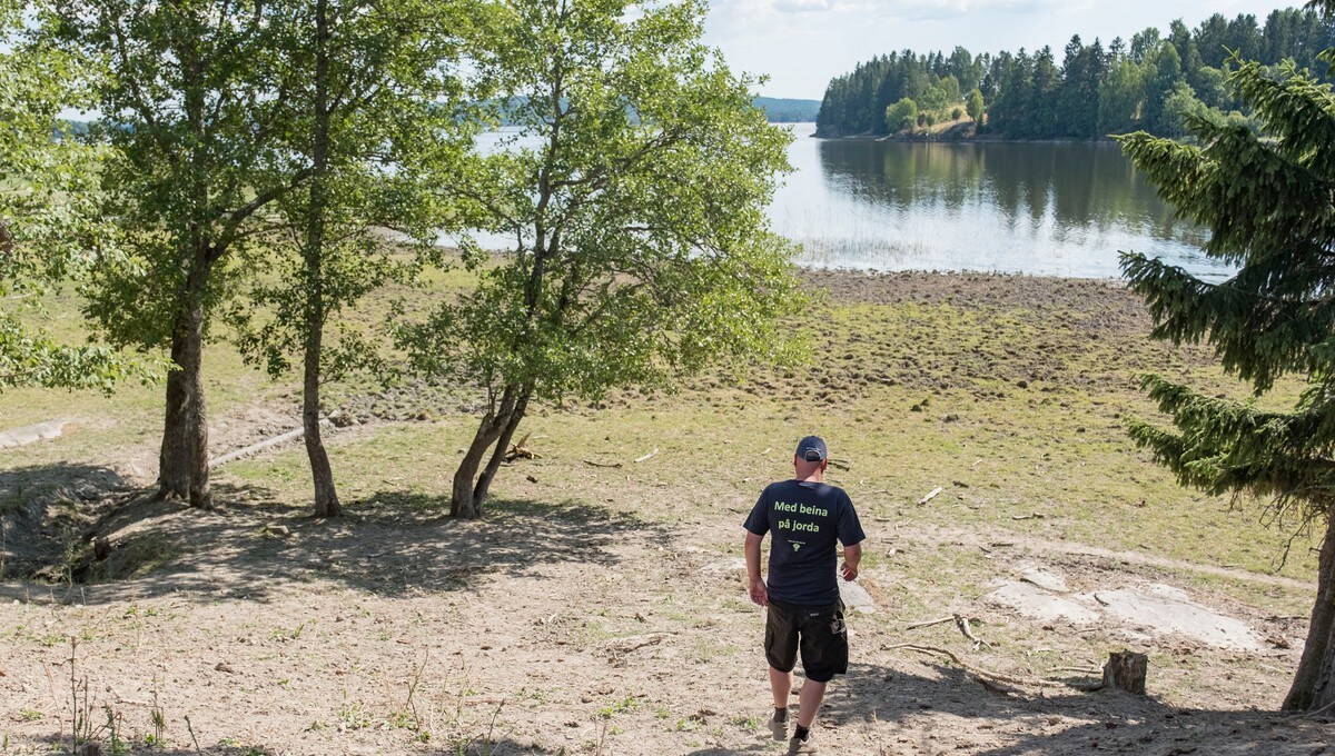 Nrk Nyheter Bakgrunn - NRK 2020