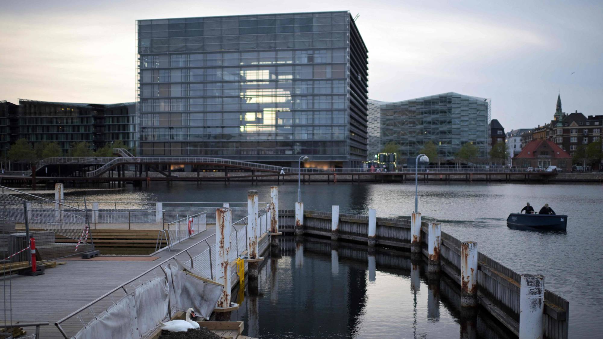 En svane ligger på reir på en trebrygge ved sjøen i København med moderne kontorbygg i bakgrunnen. (Bildebeskrivelsen er laget av en KI-tjeneste)