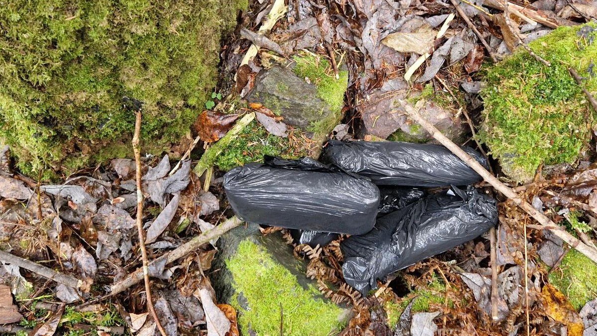 Kollegaer dømt for narkotikasalg: Over 10 kg amfetamin beslaglagt