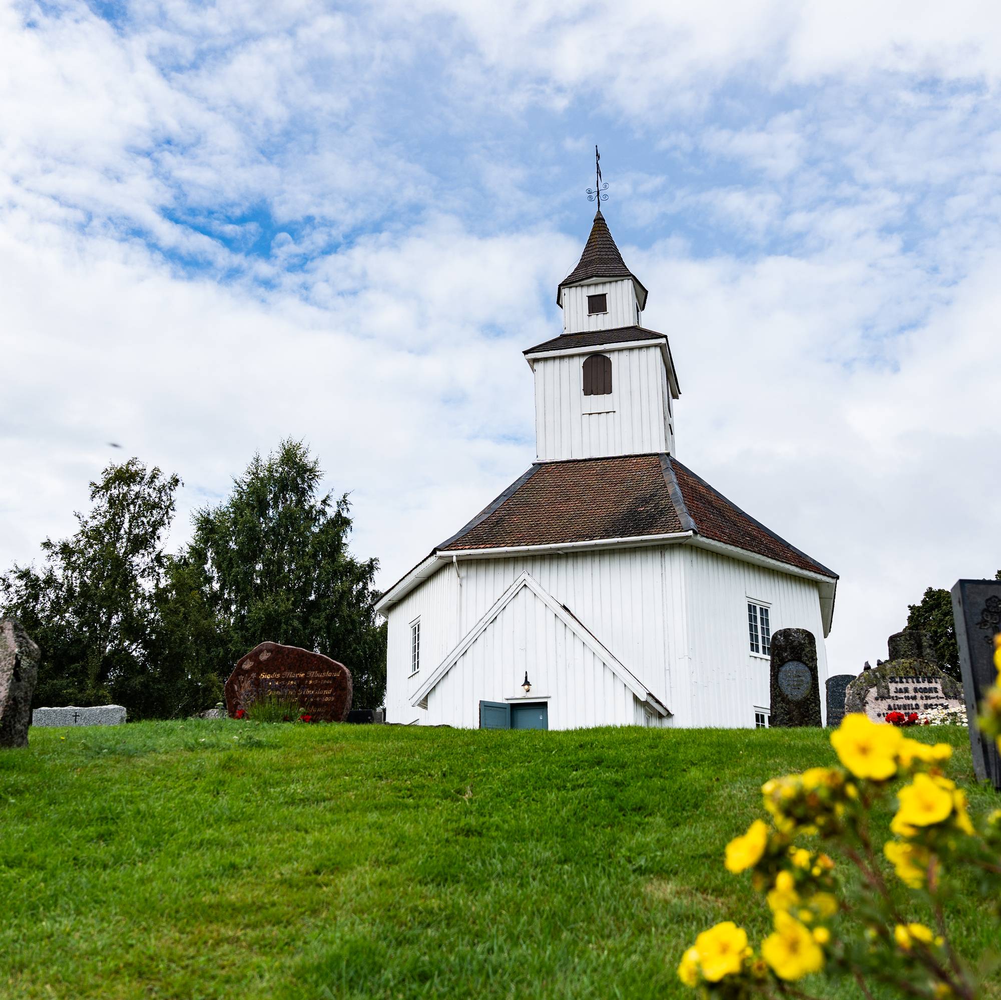 Hvit trekirke omgitt av kirkegård med gravsteiner og gule blomster i forgrunnen. (Bildebeskrivelsen er laget av en KI-tjeneste)