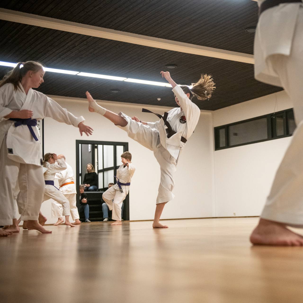 Telemark Karate - Seljord