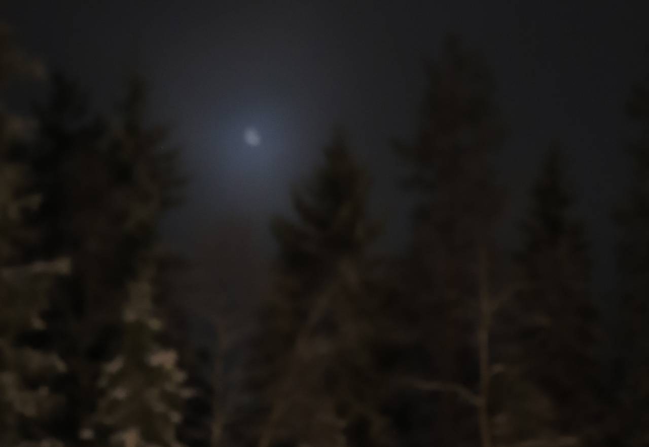 Månen lyser over skogen i Ulvåa