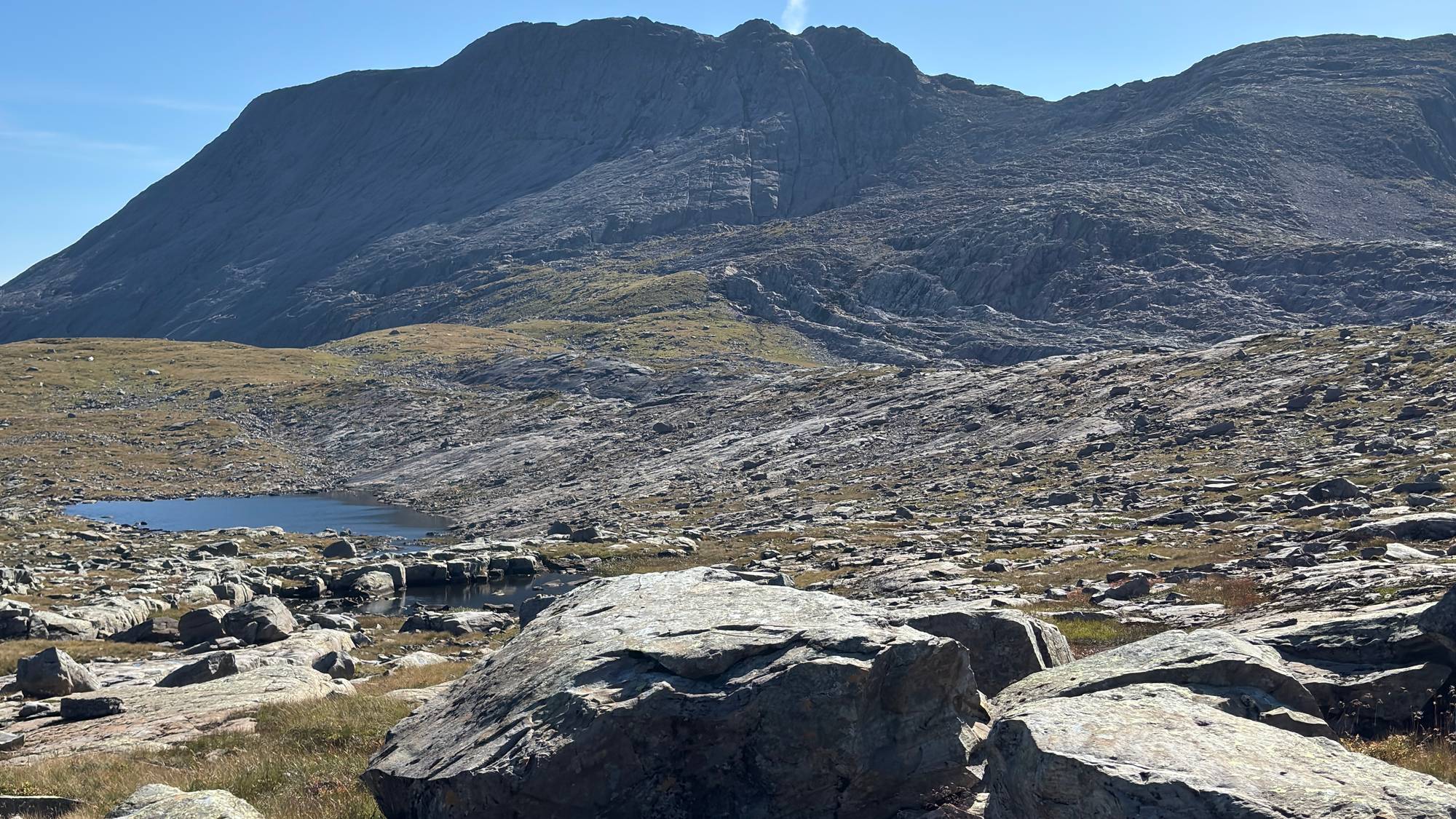 Funn av fossilar ved Storehesten
