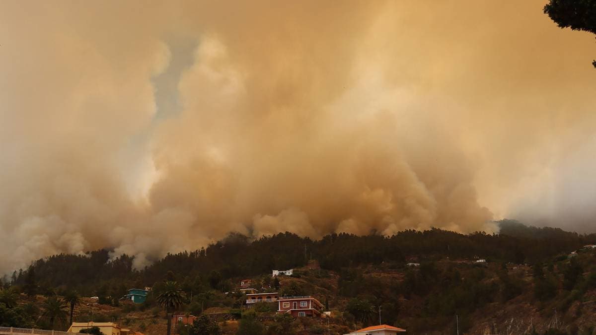 Forest Fire on La Palma: Hundreds Evacuated as Flames Spread Rapidly