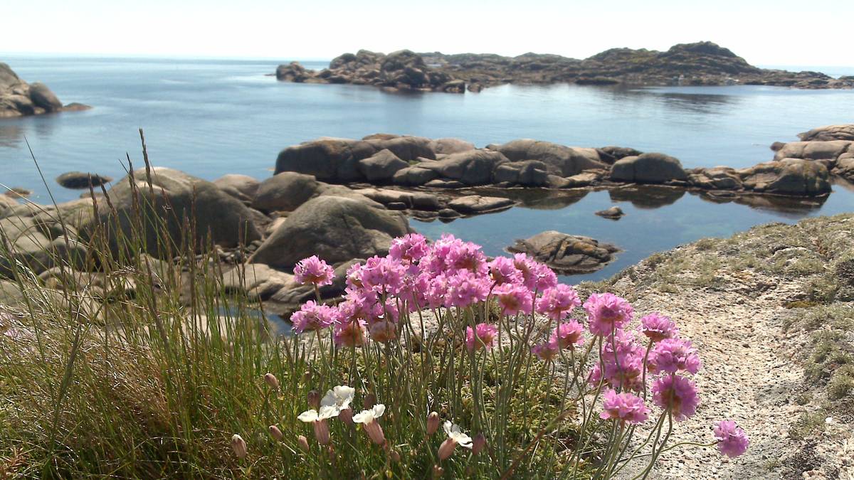 Mange vil feriere i Agder