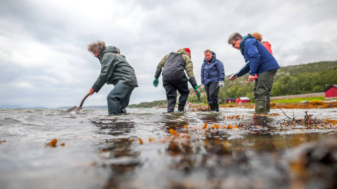 Det jobbes med å ta prøver av en jekt utenfor BOdø