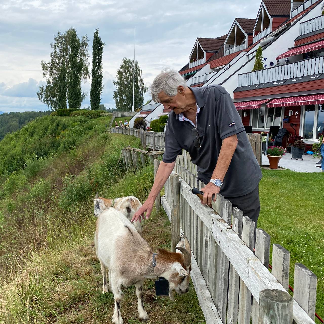 Ivar Kulseth klapper en geit over gjerdet.