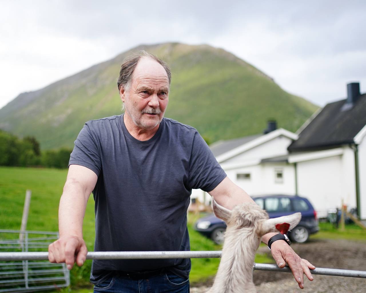 Pappa Rolf Albertsen står med geitene.