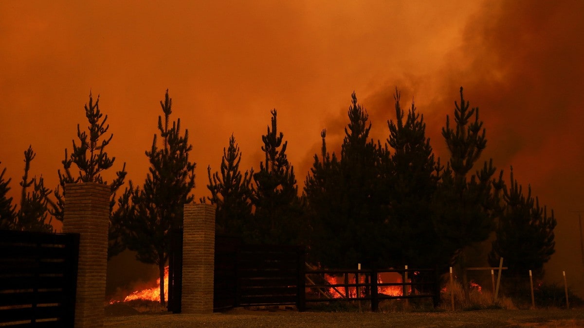 Minst 22 omkomne i skogbranner i Chile