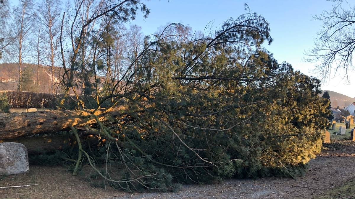 Uvær herjer i Innlandet, Sverige og Finland