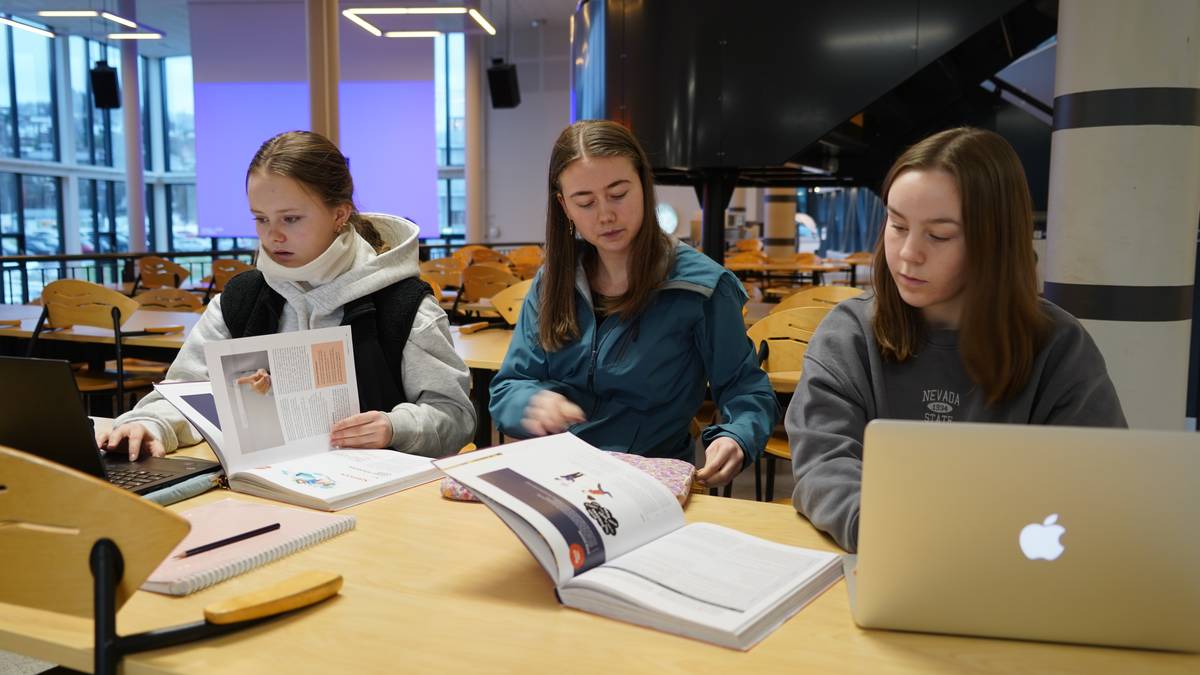 いじめに遭う生徒の増加 – NRK トロンデラーグ – 地元ニュース、テレビ、ラジオ