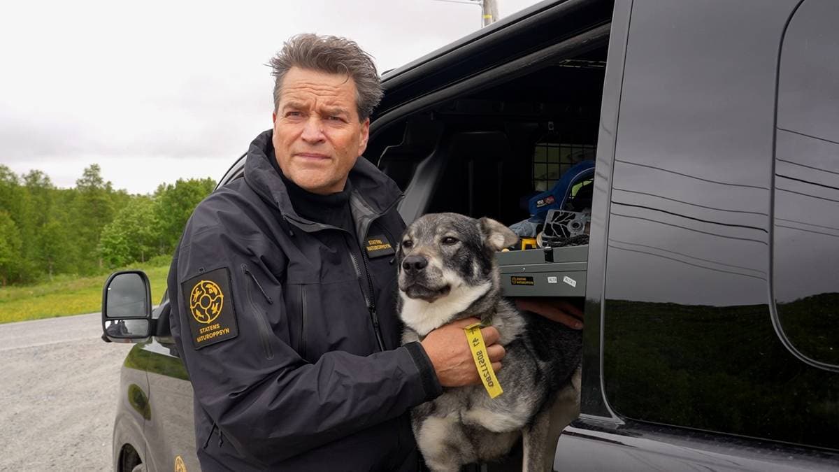 Dropper videre jakt på Jarfjord-binna og ungene