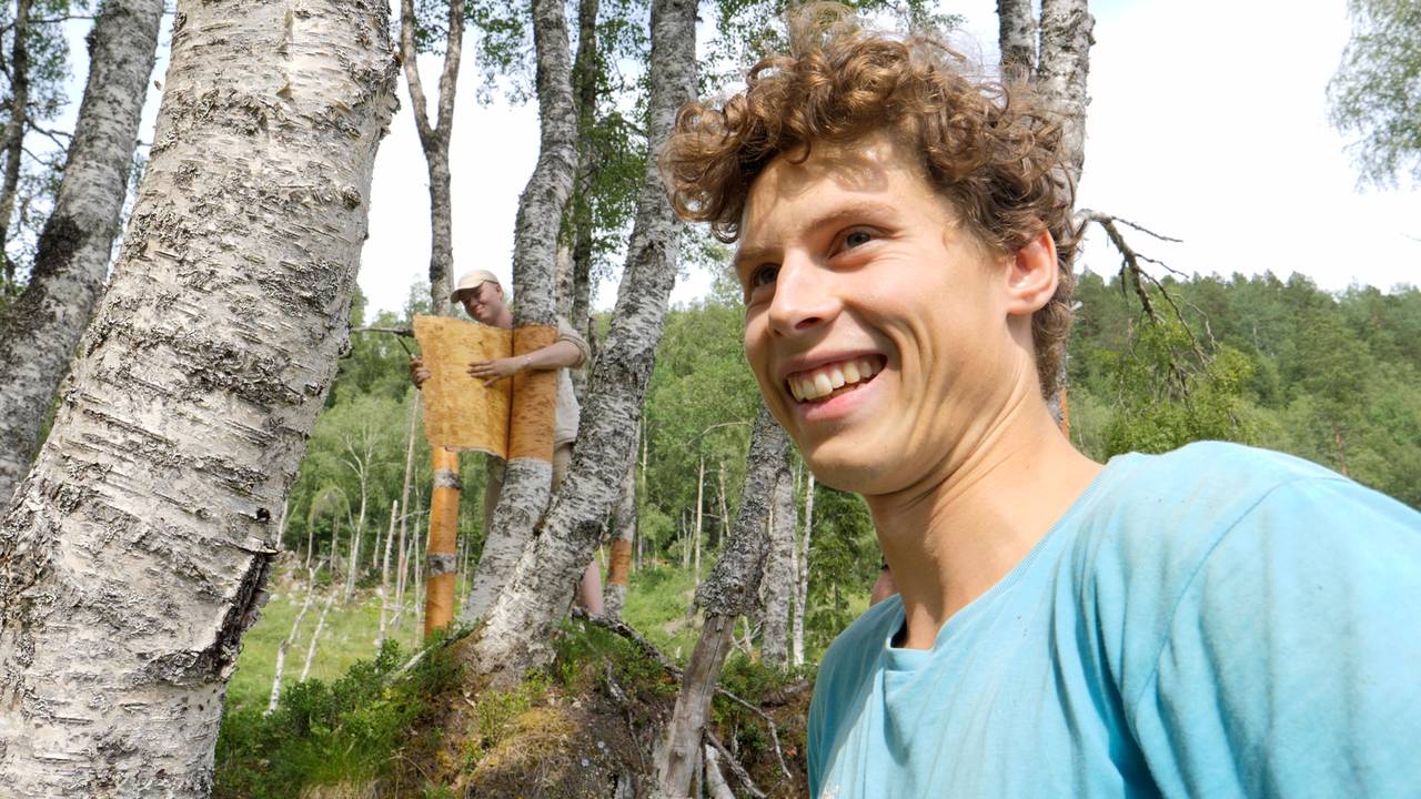 Bilder nevergutta i Heim