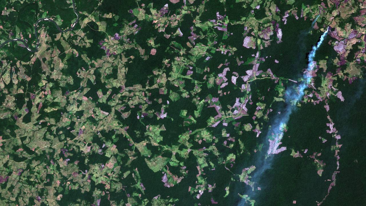 Satellitt-bilde over skog i Colombia fra 2018