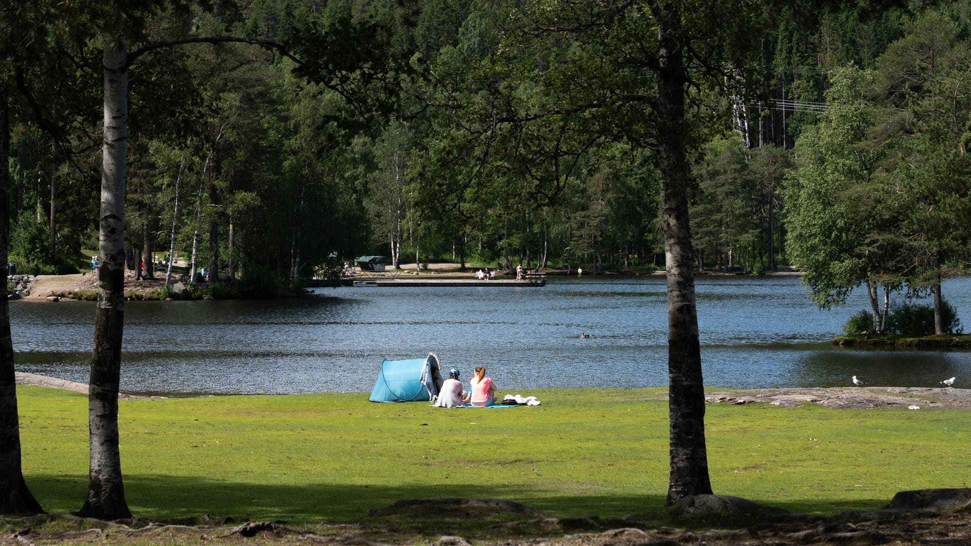 To personer sitter ved et blått telt på en gressplen ved et vann omgitt av skog. 