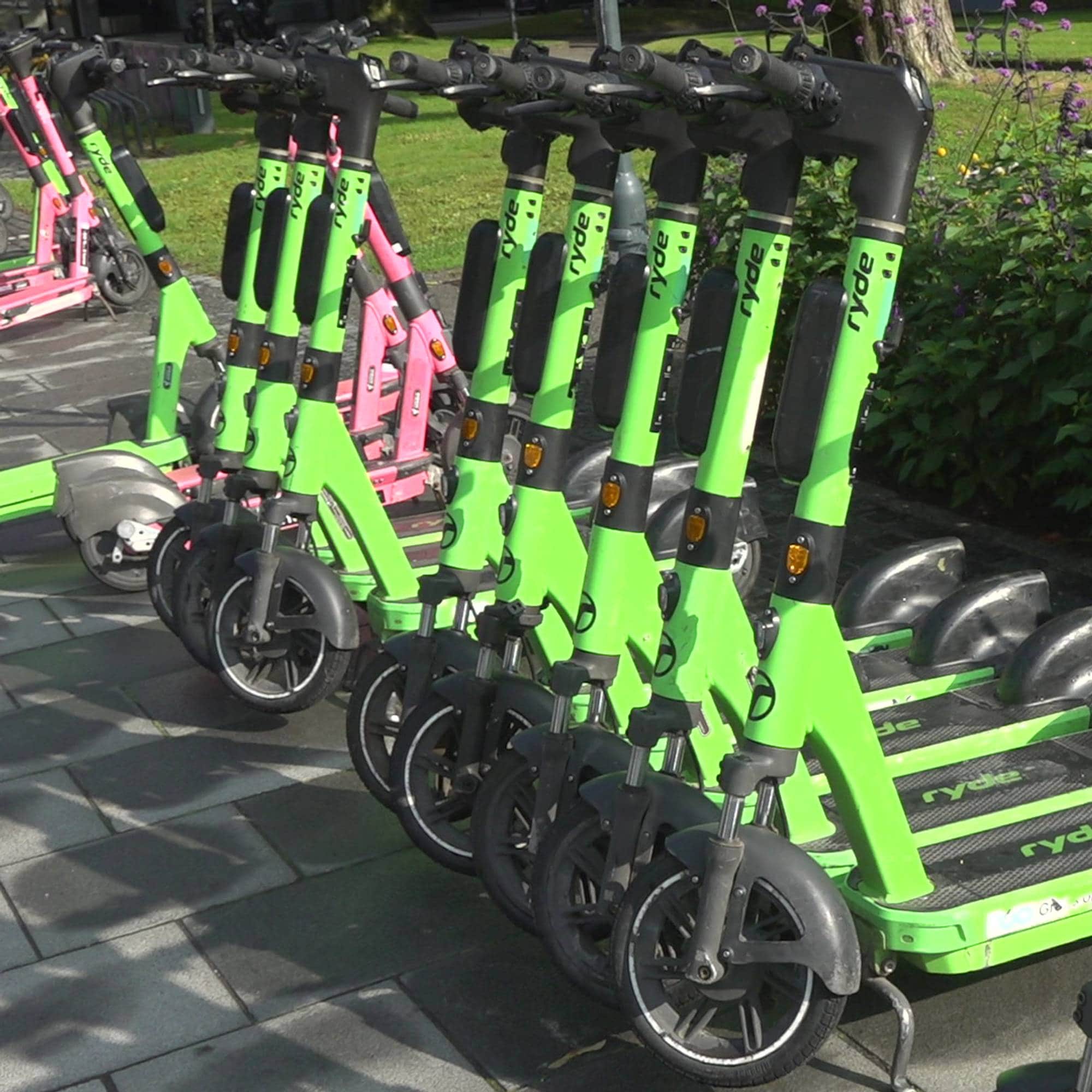 En rekke elektriske Ryde-sparkesykler står parkert på en rad langs en gangvei. (Bildebeskrivelsen er laget av en KI-tjeneste)