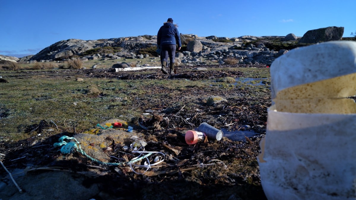 Gladnyhet fra havet: Plastsøppelet halvert enkelte steder