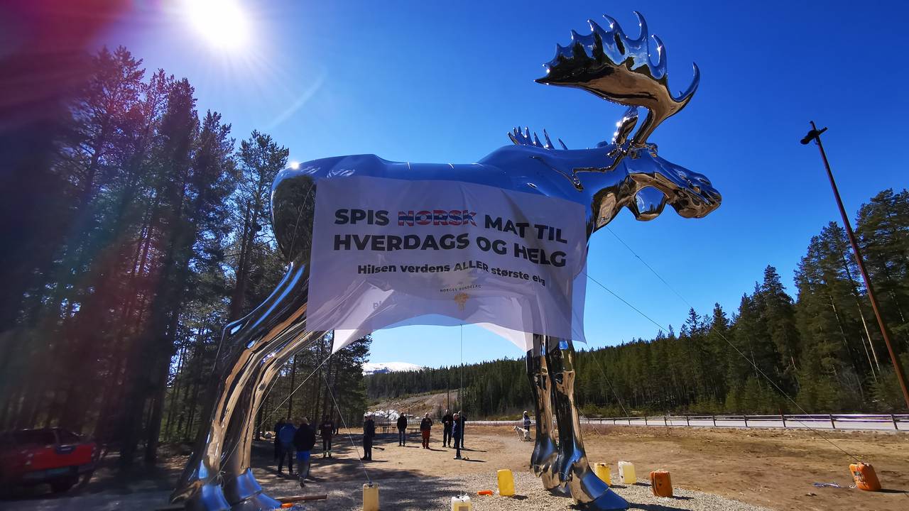 Bondeaksjon ved Storelgen i Storelvdal.