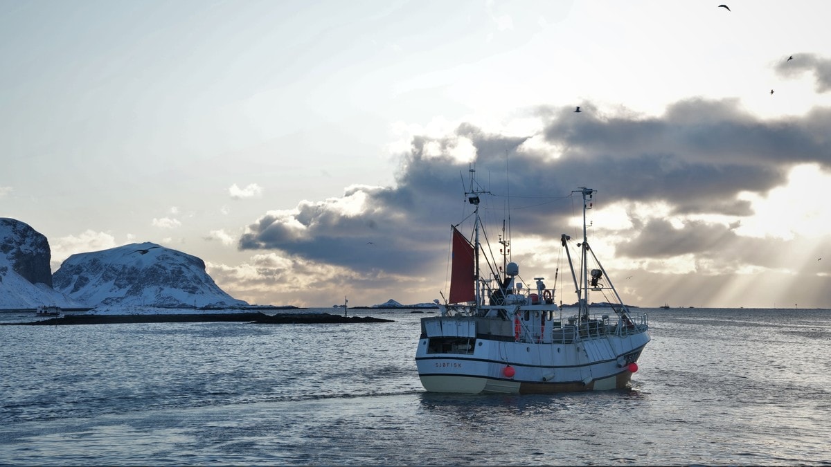 Bekymret for torsken som ikke kommer