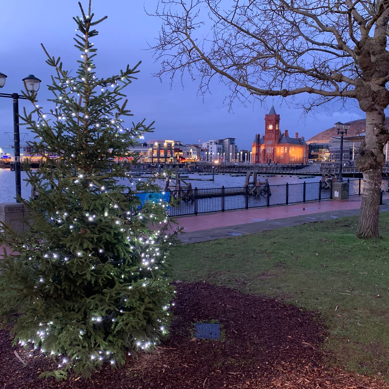 Det norske juletreet i Cardiff slik det så ut i julen 2019