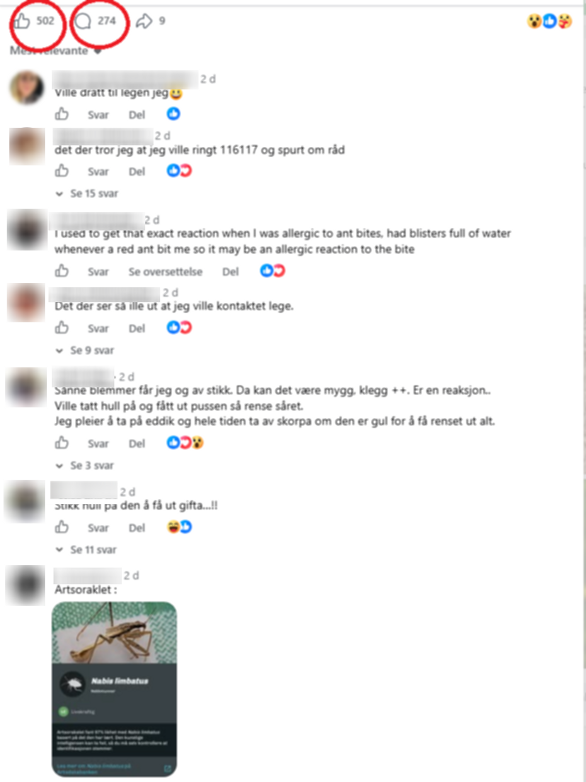 Skjermbilde av facebookkommentarer - redigert. Bildet viser kommentarfelt om folk som engasjerer seg i stikket Jon Roger fikk. 