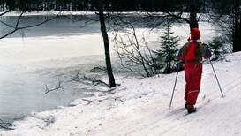 Det er stor variasjon på kor trygg isen er på forskjellige vatn. På vatn større enn 100 meter er isen svært tynn seier isekspert, Ånund Kvambekk i NVE.