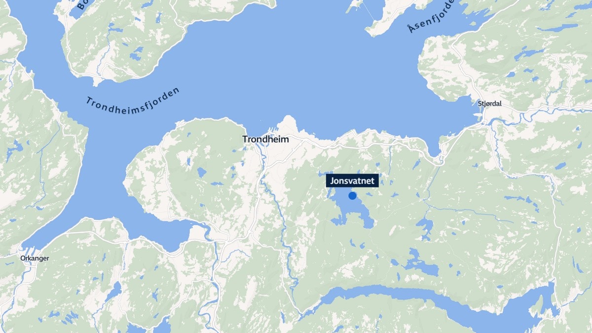 Tenåring omkom etter kollisjon med elg