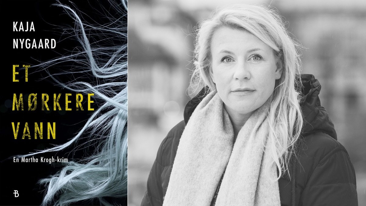 «En proff og lovende start på en ny serie politiromaner»