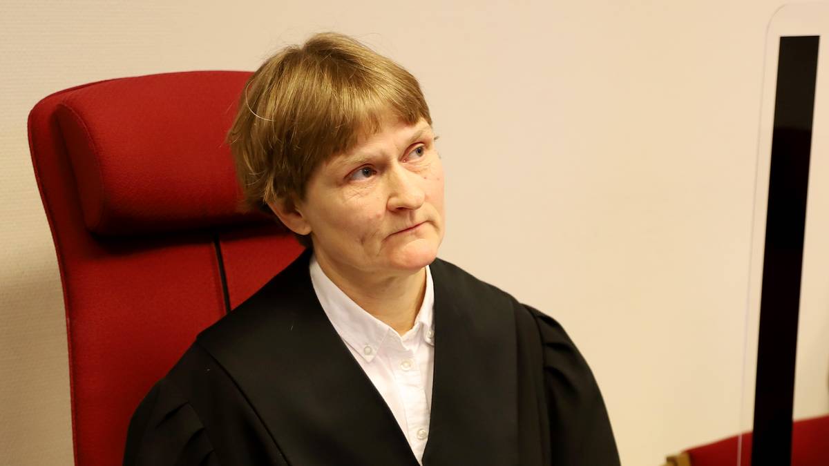 Mann tiltalt for å ha spylt tre kattungar ned i do: – Svært grovt brot på dyrevelferdslova