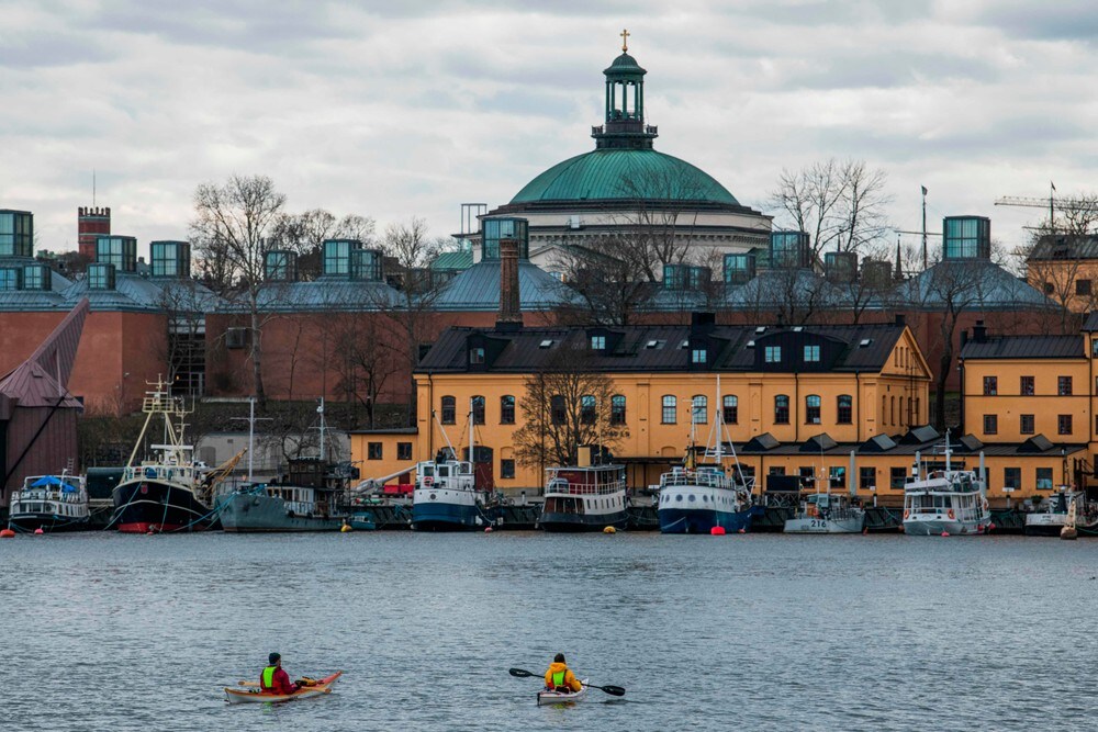 Antall koronadødsfall i Sverige har økt til 146