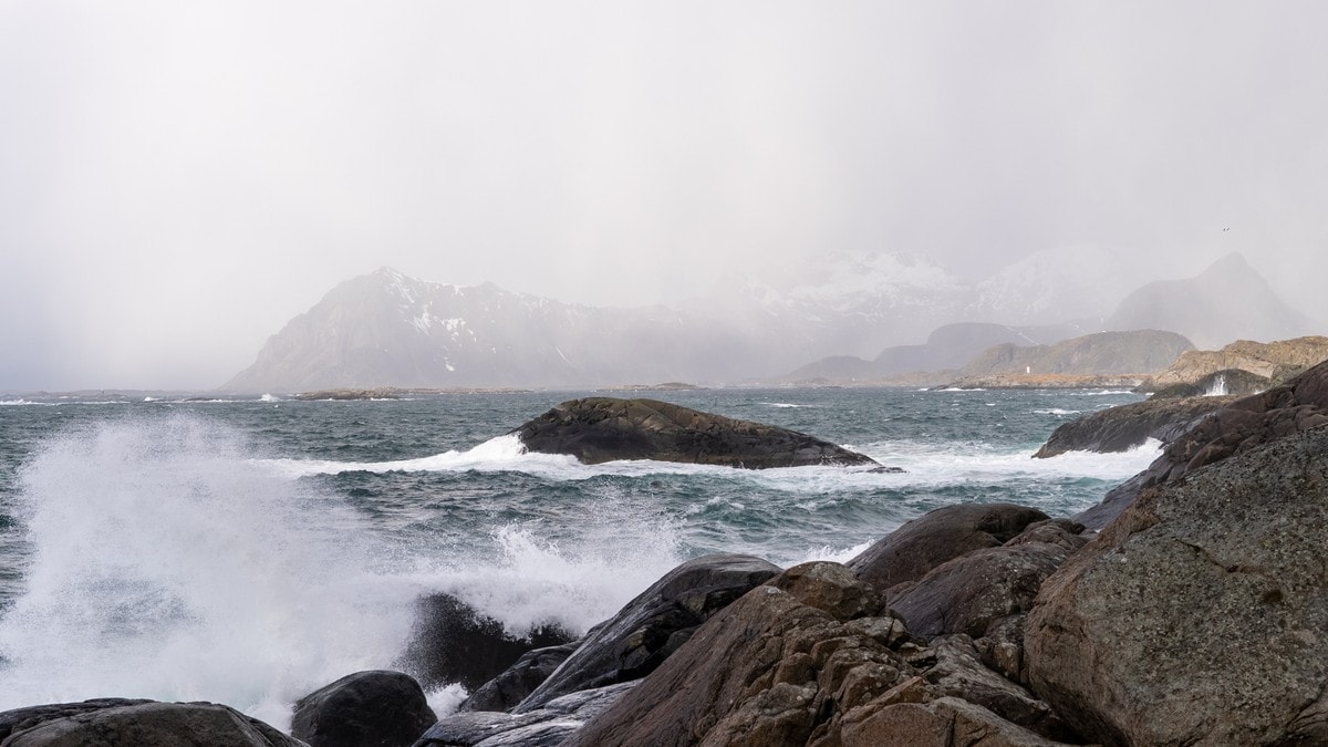 Send inn bilde til havforskning