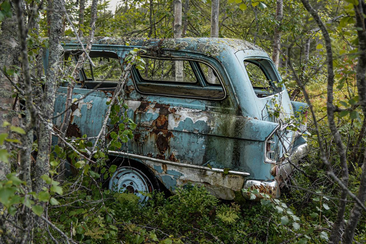Opel-vrak i naturen