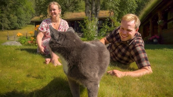 Stemningsbilde for serien