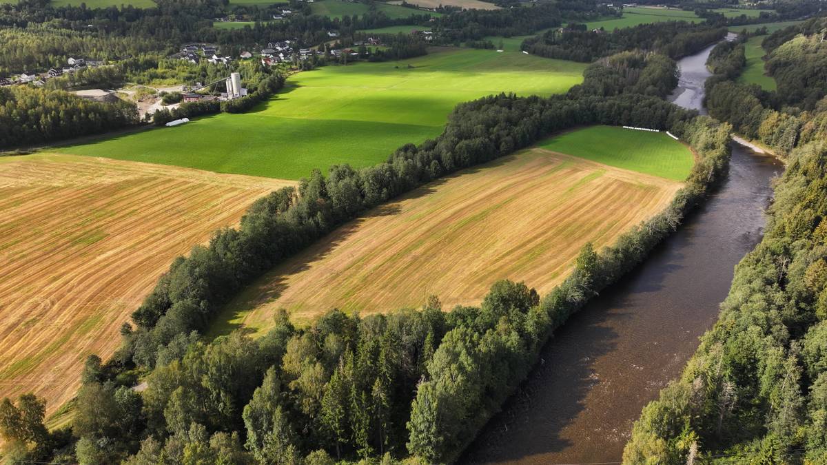 Skulle veie opp for E6-utbygging — nå vil Nye Veier droppe miljøtiltaket