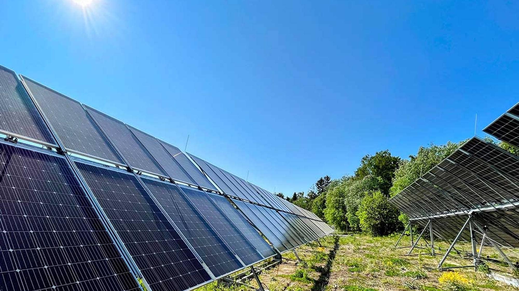 To rader med svarte solcellepanel montert på bakken. Grønt gress på bakken og blå himmel. Solen skinner.