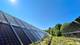 Mikal-André Tvedt / NVE To rader med svarte solcellepanel montert på bakken. Grønt gress på bakken og blå himmel. Solen skinner.