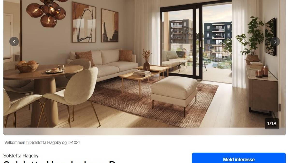 Sel nybygd leilegheit med «bu» som er større enn soverom, stue og kjøkken til saman