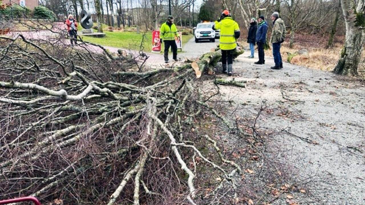 Rydder trær etter uværet i Stavanger