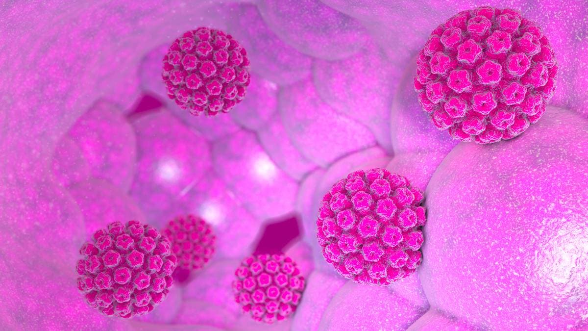 Regjeringa vurderer å innføre ny HPV-vaksine