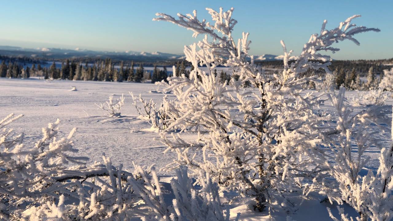 Nydeleg ved Pellestova i Øyer i Innlandet.