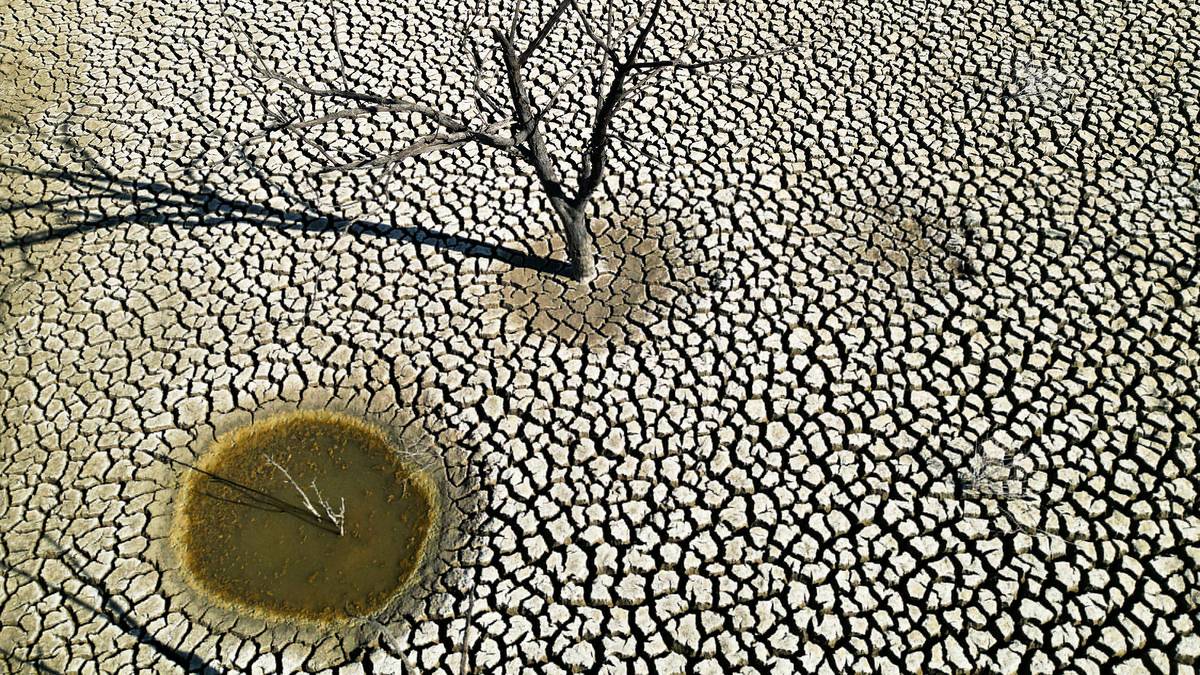 La Spagna esaurisce l’acqua – Gli agricoltori abbandonano il raccolto di quest’anno – NRK Urix – Notizie e documentari dall’estero