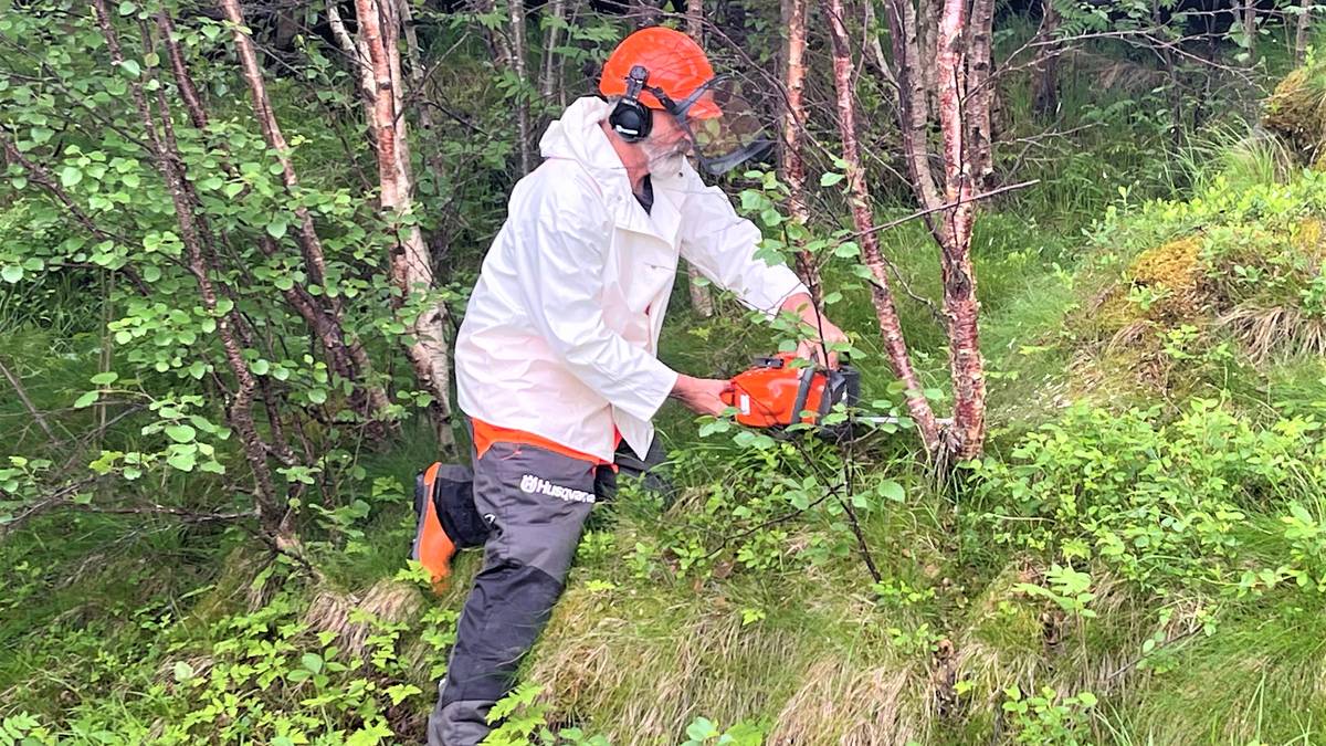 Magnar Solberg NRK Trøndelag