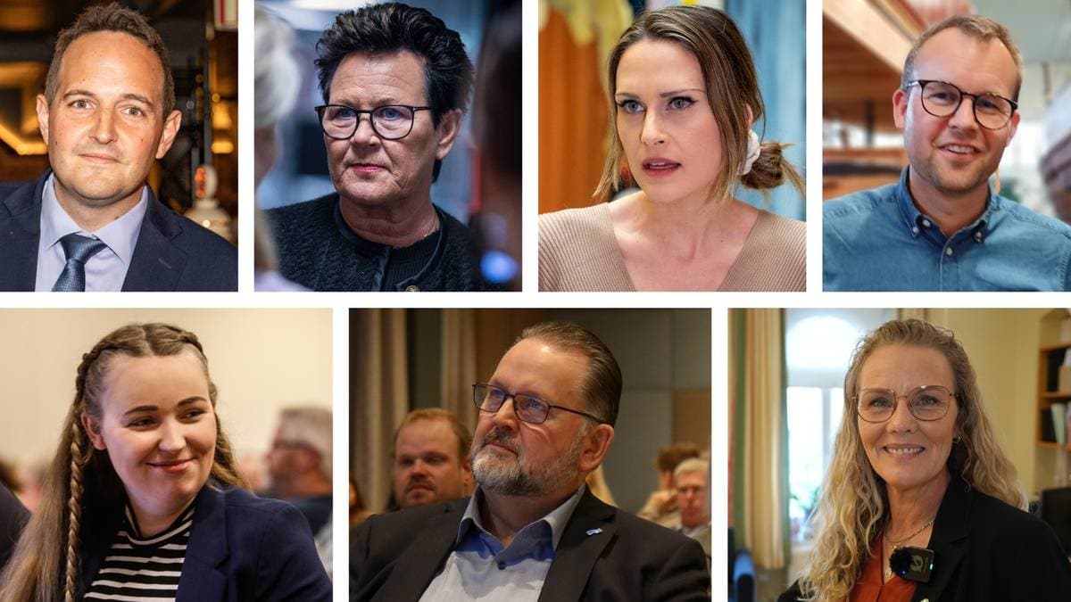 Tidligere stortingspolitikere på jobbjakt