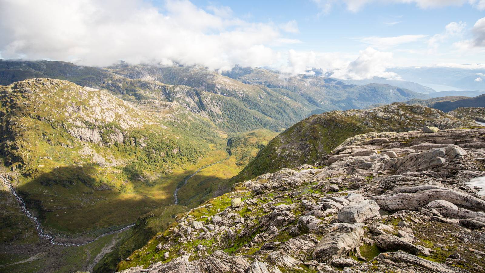 Den nye Rødlista: Halvparten av norsk natur er i fare – NRK Buskerud ...