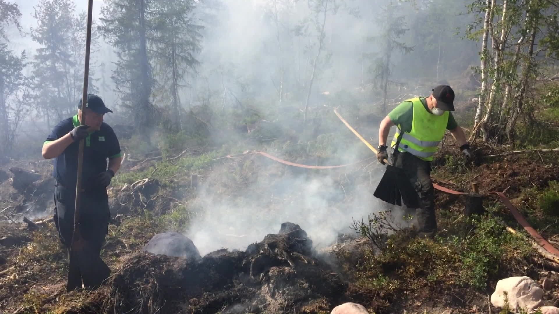 Brannvesenet har kontroll på skogbrann i Trysil