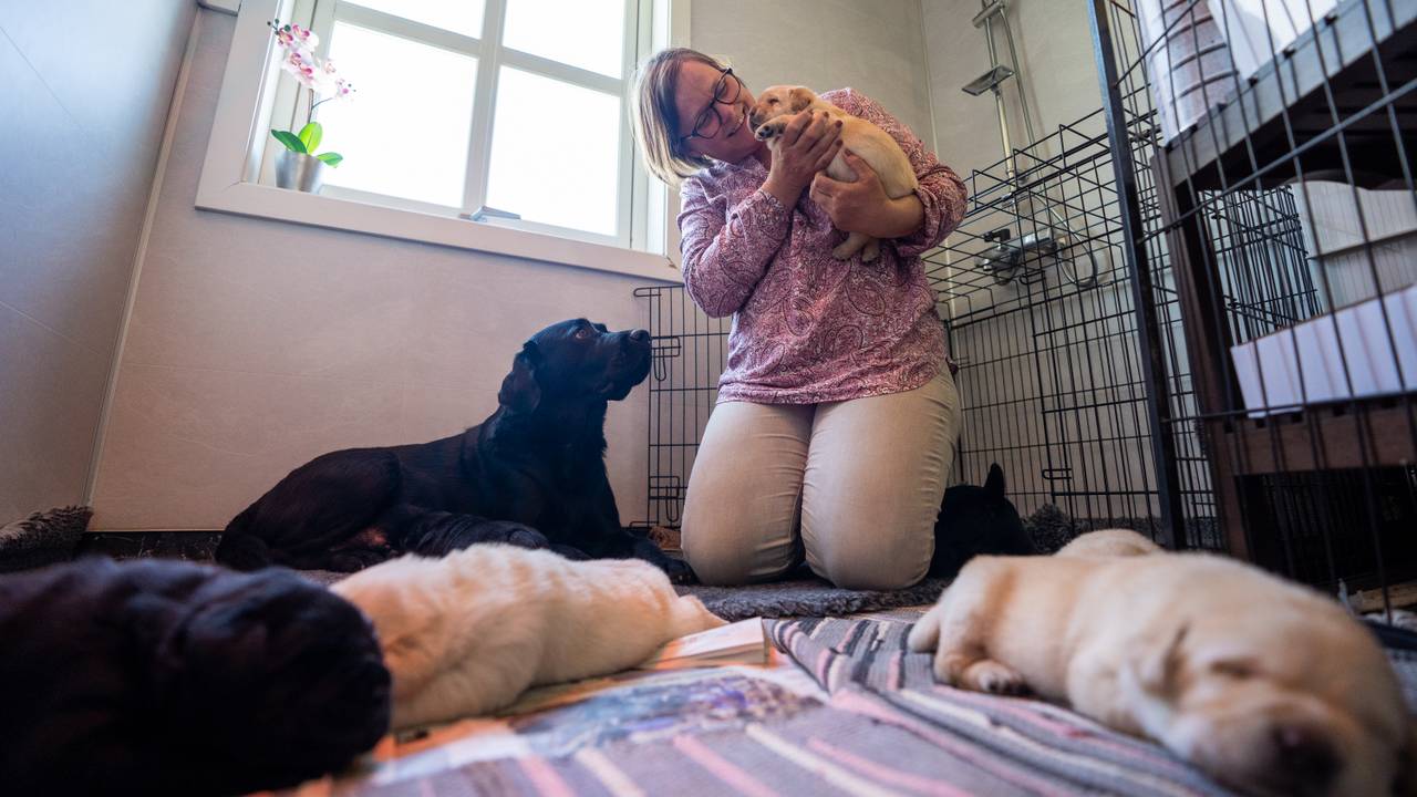 Heidi Marie Kragerud med valper.