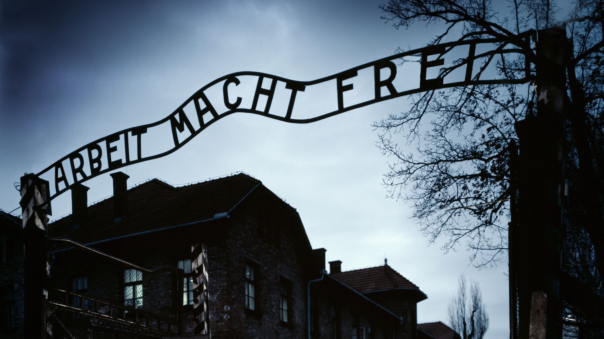 Из дневника марии авдеевой освенцим. Enter the Gates Auschwitz awaits